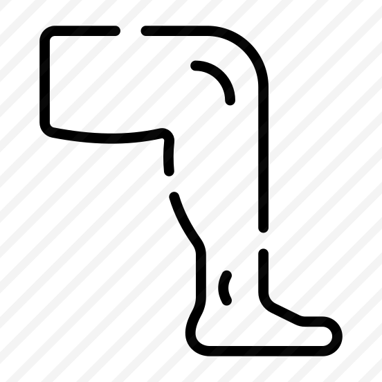 Leg, Limb, Calf, Muscle, Anatomy preview