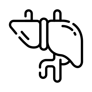 Liver, Detox, Hepatic, Organ, Anatomy icon