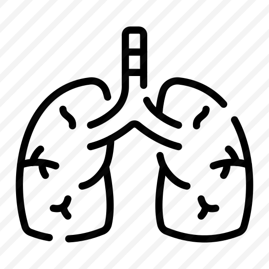 Lungs, Breathing, Respiratory, Alveoli, Pulmonary preview