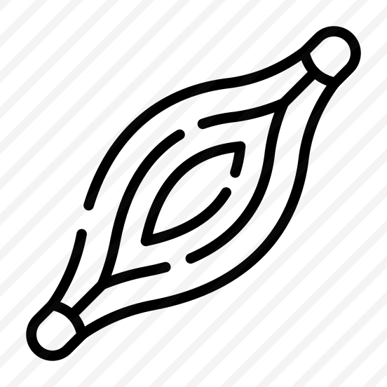 Muscle, Anatomy, Tissue, Contraction, Fibers preview