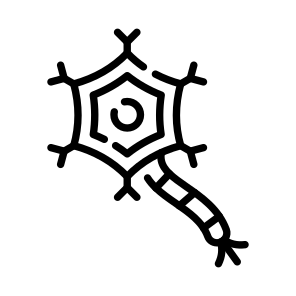 Neuron, Axon, Dendrite, Synapse, Anatomy icon