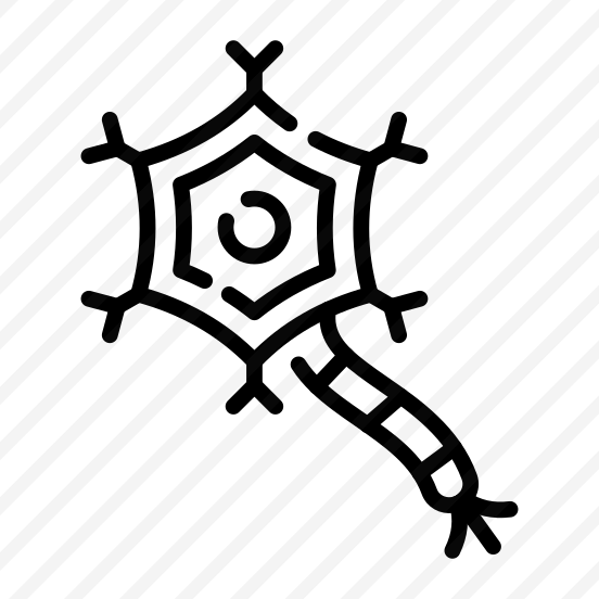 Neuron, Axon, Dendrite, Synapse, Anatomy preview