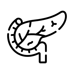 Pancreas, Organ, Gland, Digestion, Anatomy icon
