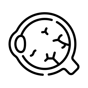 Retina, Eye, Pupil, Iris, Vision icon