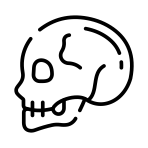 Skull, Cranium, Skullcap, Head, Bone icon