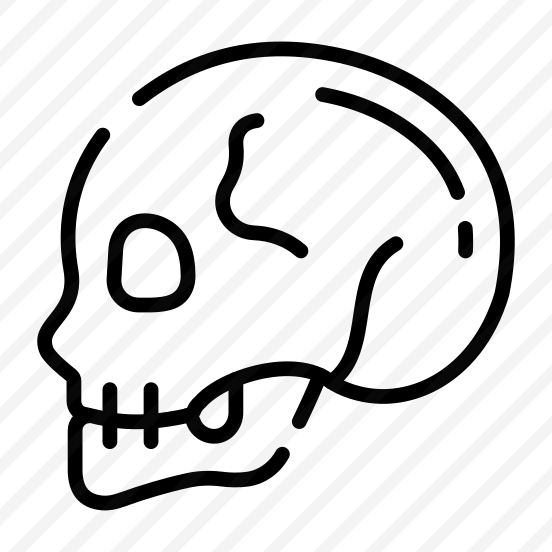 Skull, Cranium, Skullcap, Head, Bone preview