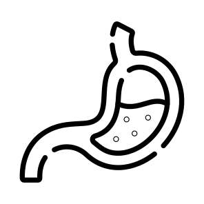 Stomach, Digestion, Gastric, Abdomen, Organ icon