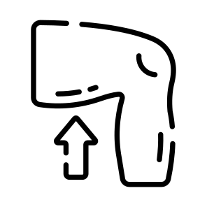 Thigh, Muscle, Leg, Body, Anatomy icon