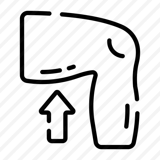 Thigh, Muscle, Leg, Body, Anatomy preview