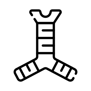 Trachea, Windpipe, Organ, Anatomy, Bronchi icon