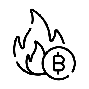 Burn, Loss, Bitcoin, Crypto, Cryptocurrency icon