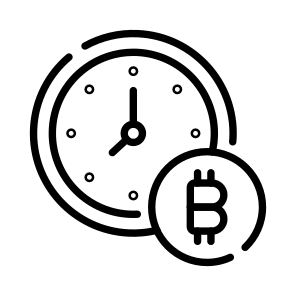 Instalment, Time, Payment, Bitcoin, Crypto icon