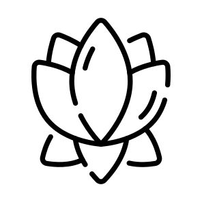 Lotus, Lily, Flower, Herbal, Extract icon