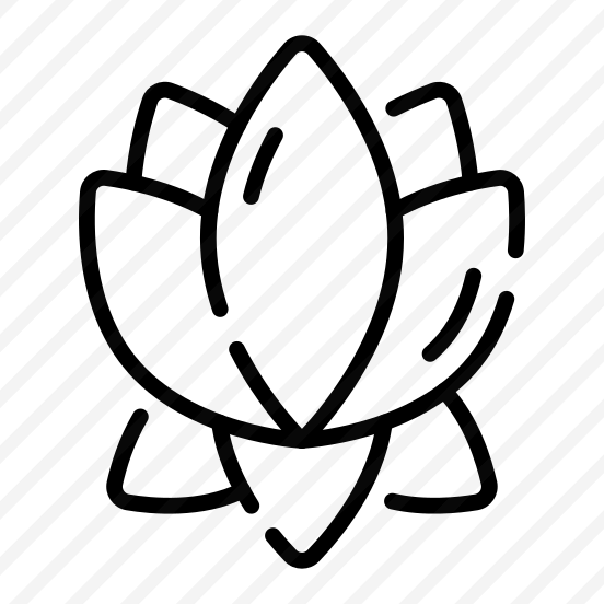 Lotus, Lily, Flower, Herbal, Extract preview