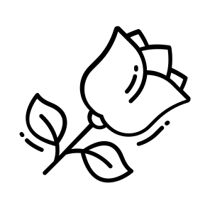 Rose, Flower, Natural, Fragrance, Blossom, icon