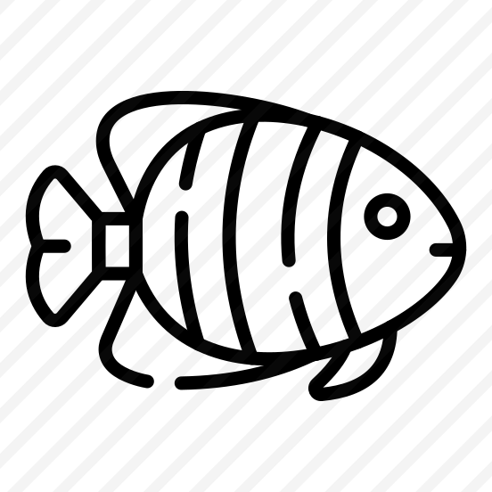Fish, Seafish, Animal, Creature, Specie preview