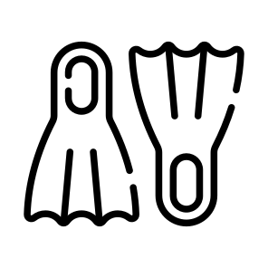 Flippers, Fins, Footwear, Diving, Footgear icon