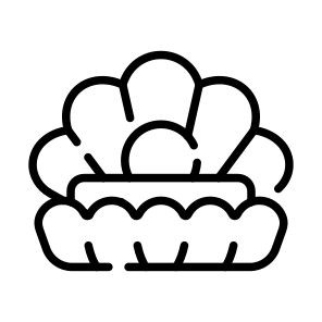 Seashell, Shell, Pearl, Charm, Oyster icon
