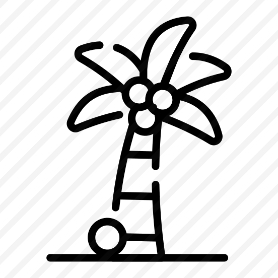 Tree, Nature, Beach, Island, Coconut preview