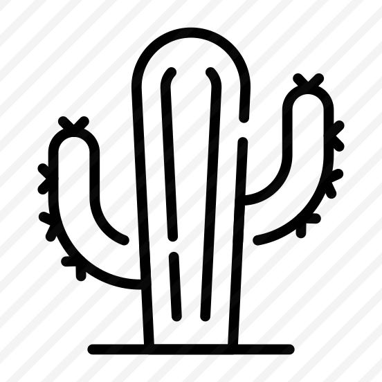 Cactus, Cacti, Succulent, Prickly, Plant preview