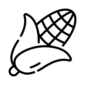 Corn, Maize, Corncob, Grain, Harvest icon