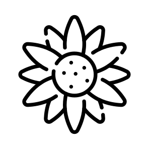 Daisy, Flower, Floral, Blooming, Petals icon