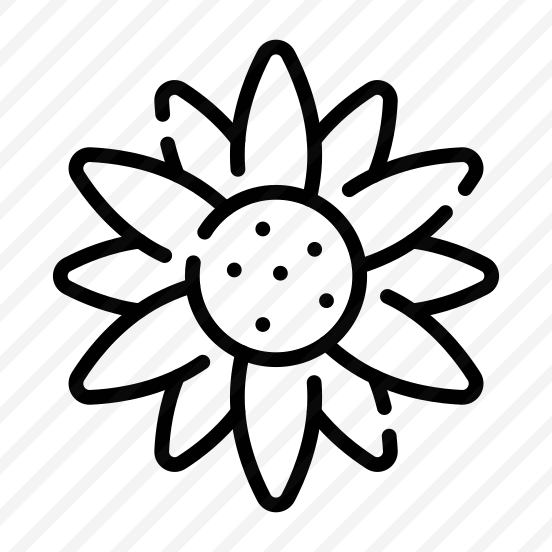 Daisy, Flower, Floral, Blooming, Petals preview