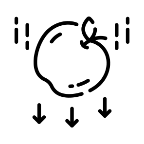 Gravity, Experiment, Force, Apple, Physics icon