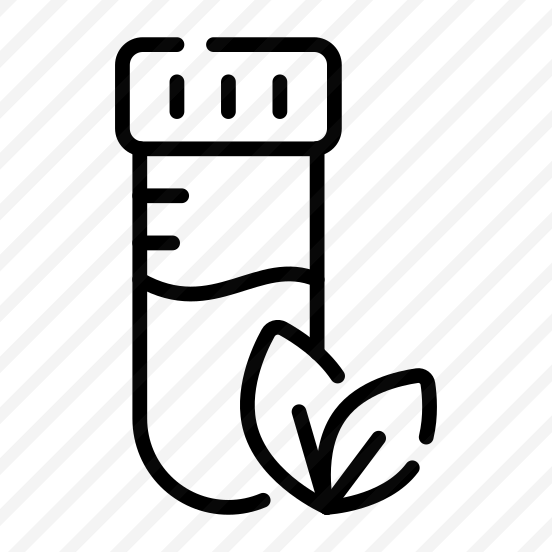 Plant Research, Botany, Plant Test, Lab, Experiment preview