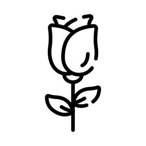 Rose, Rosebud, Flower, Floral, Blooming icon