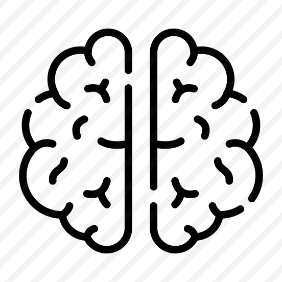 Brain, Mind, Cerebrum, Neurology, Organ preview