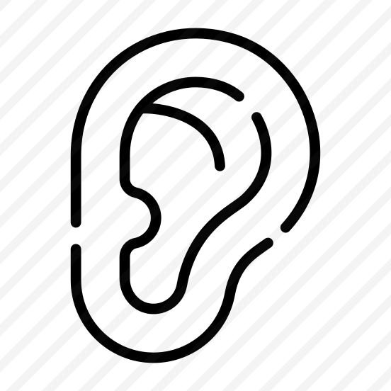 Ear, Hearing, Auricle, Auditory, Organ preview