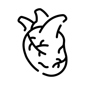 Heart, Cardiac, Cardiovascular, Organ, Arteries icon