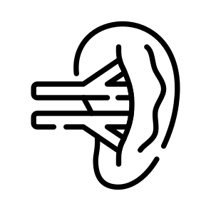 Kidney, Nephron, Renal, Organ, Urinary icon