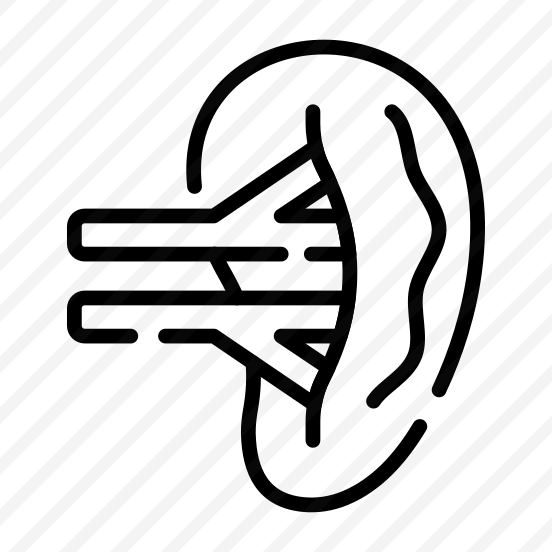 Kidney, Nephron, Renal, Organ, Urinary preview