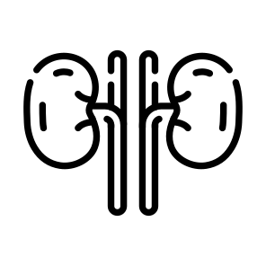 Kidneys, Nephrons, Renal, Organ, Urinary icon