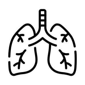 Lungs, Respiratory, Breathing, Organ, Anatomy icon