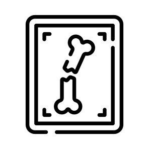 Radiology, Screening, Examination, Fracture, Bone icon