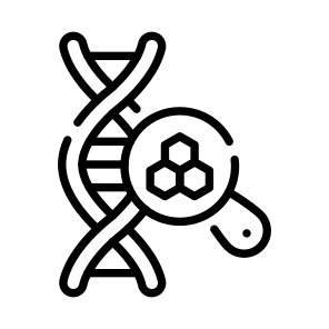 Research, Helix, Genetics, Biology, Dna icon