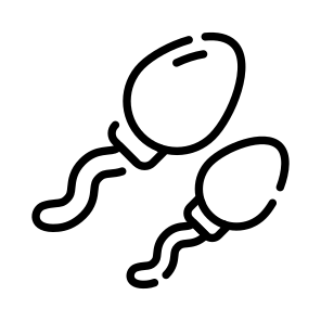 Spermatozoa, Sperms, Cells, Reproductive, Gametes icon