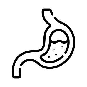 Stomach, Digestive, Organ, Anatomy, Biology icon