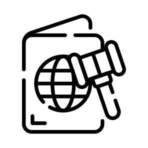 Travel, Law, Visa, Rules, Border icon