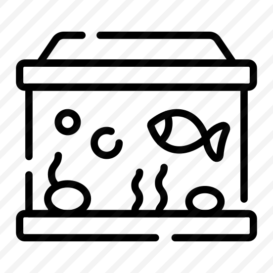 Aquarium, Seafood, Creature, Animal, Fish preview
