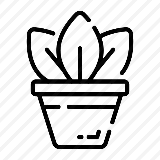 Potted, Plant, Houseplant, Gardening, Pot,,, preview