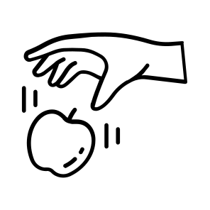 Gravity, Newton, Law, Physics, Experiment icon