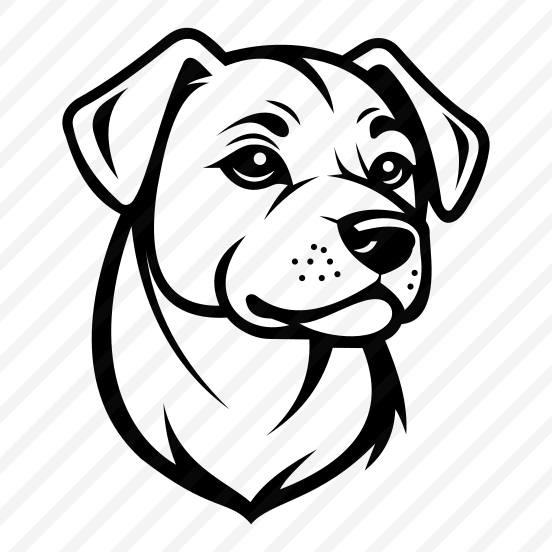 Animal, Dog, Fauna, Zoology, Creature preview