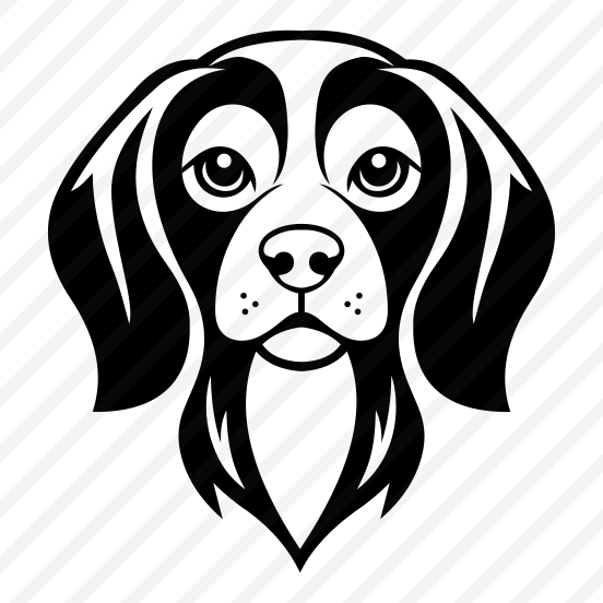 Beagle, Dog, Animal, Fauna, Zoology preview