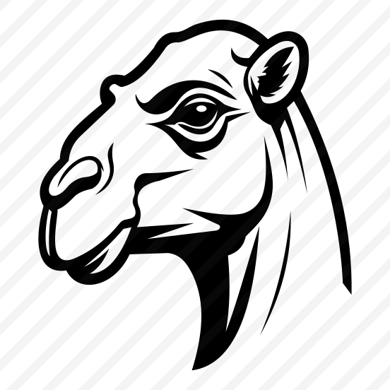 Camel, Animal, Fauna, Zoology, Creature preview