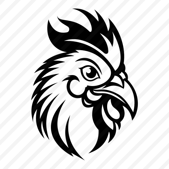 Chicken, Hen, Fowl, Fauna, Zoology preview