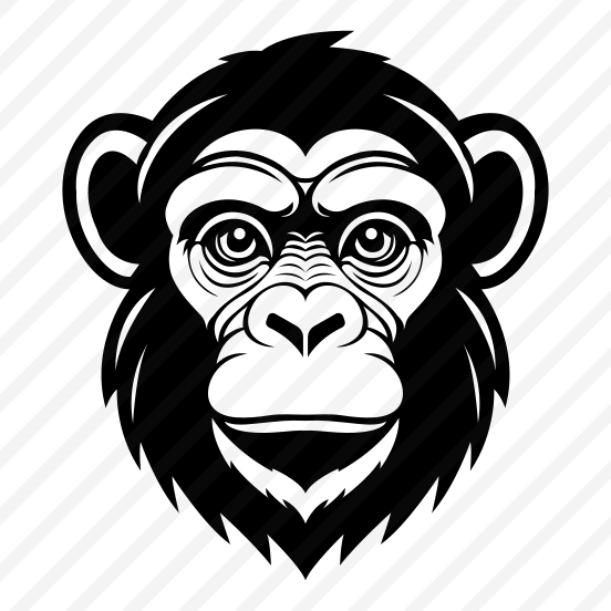Chimpanzee, Monkey, Animal, Fauna, Zoology preview